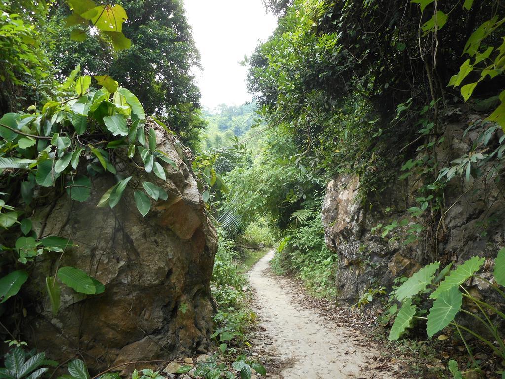 Ba Be Lake Homestay - Quynh Chi Exterior foto